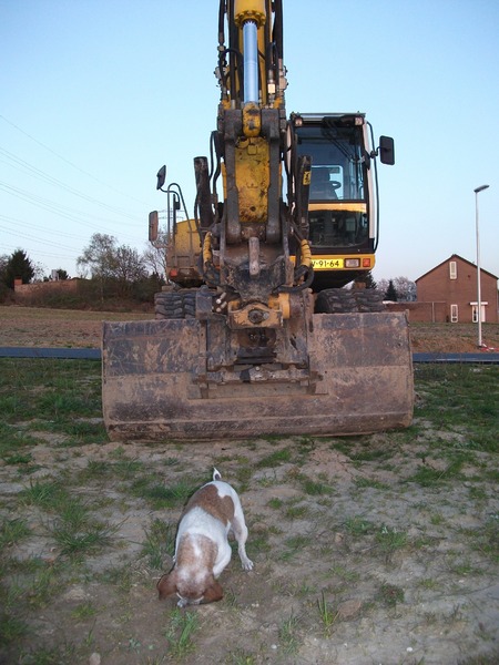 Spikey vs. de grote graafmachine!