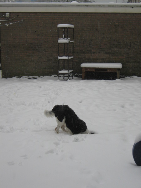 Waar is de wereld gebleven?