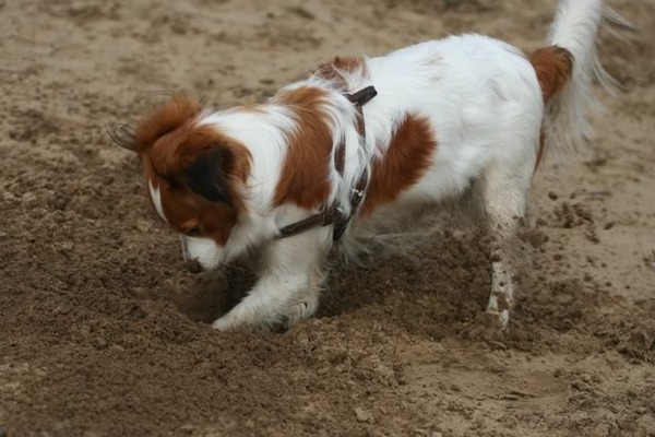 Grrrr, kan het niet vinden......