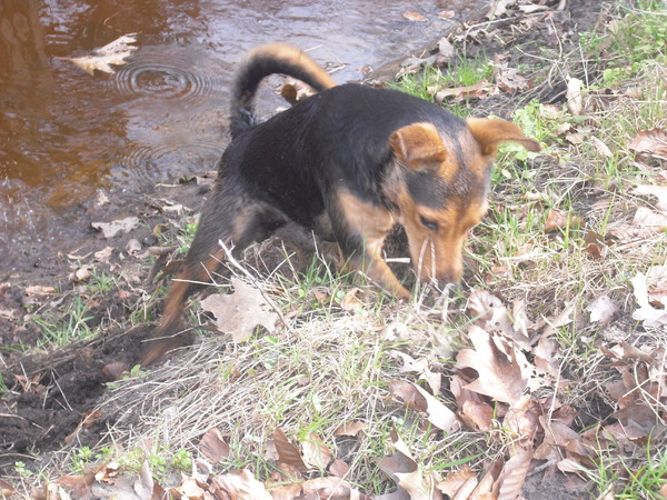 Daar aan de waterkant!!
