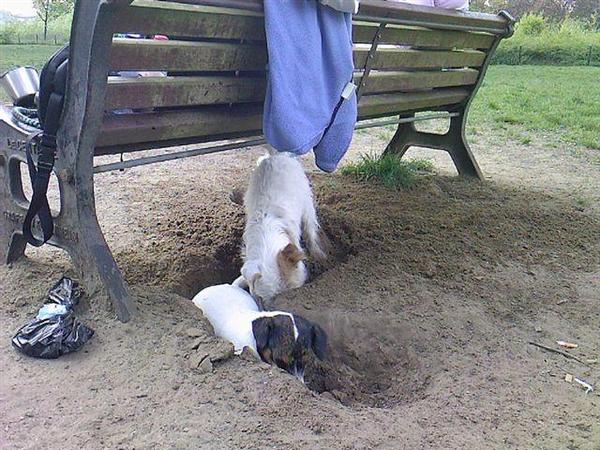 TG inzijn element met zijn vriendinnetje Mieke 