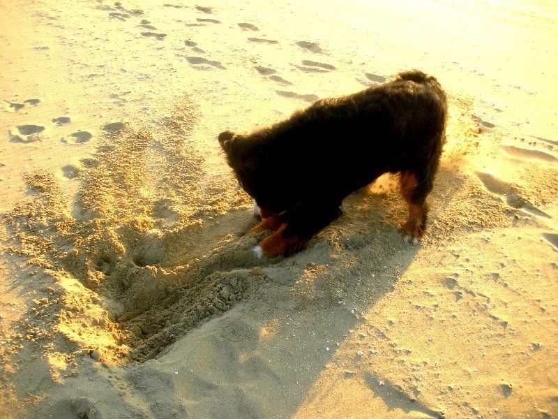 Zo dit is nog maar het begin van mijn gat