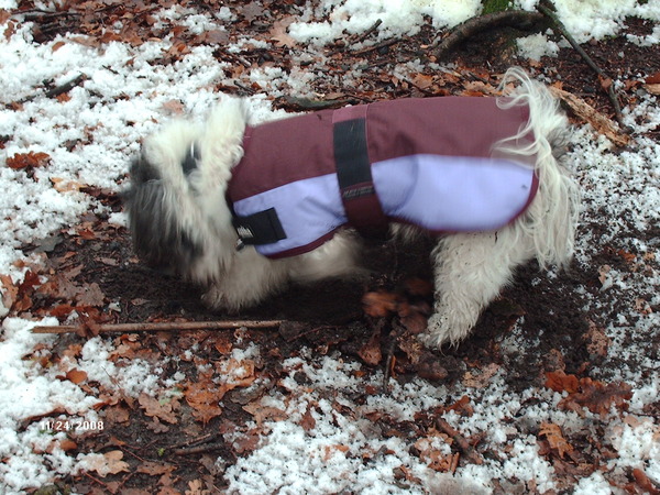 Brr koud aan de pootjes