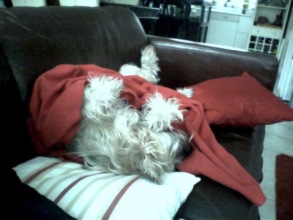 Lekker lui op de bank!