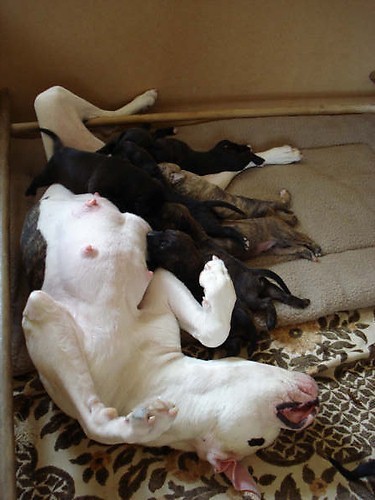 Wie heeft er honger????