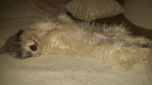 Wat ben ik lui vandaag