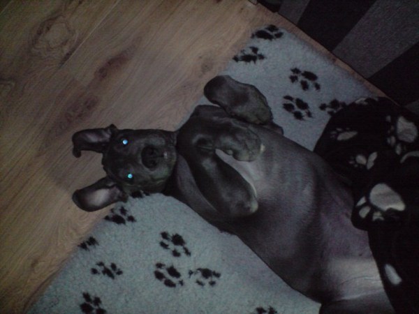 Athos gekke 5 min. !