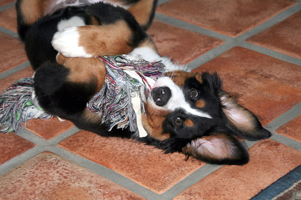 Lekker liggen op mijn rug met mijn favoriete speeltje