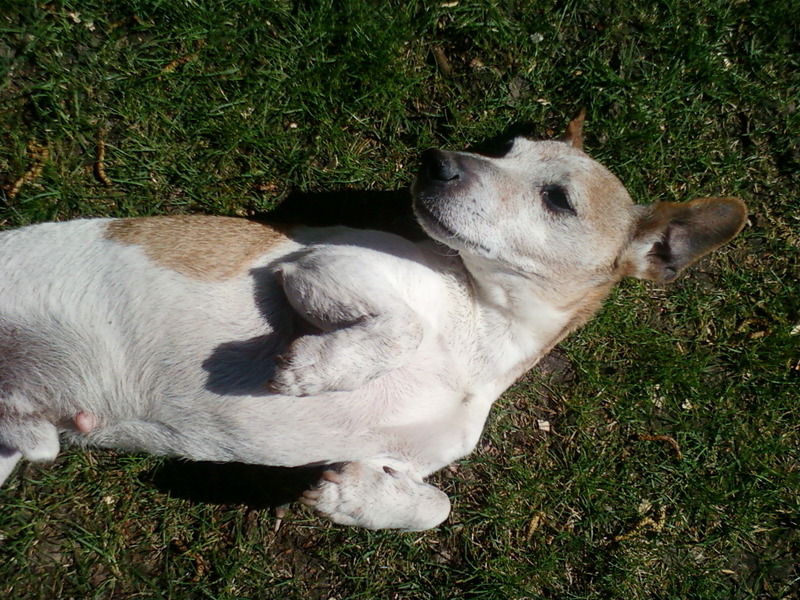 Genieten van het zonnetje