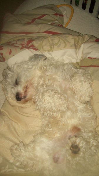 pfffffffffffffffff vooral niet bewegen , word je moe van hahah