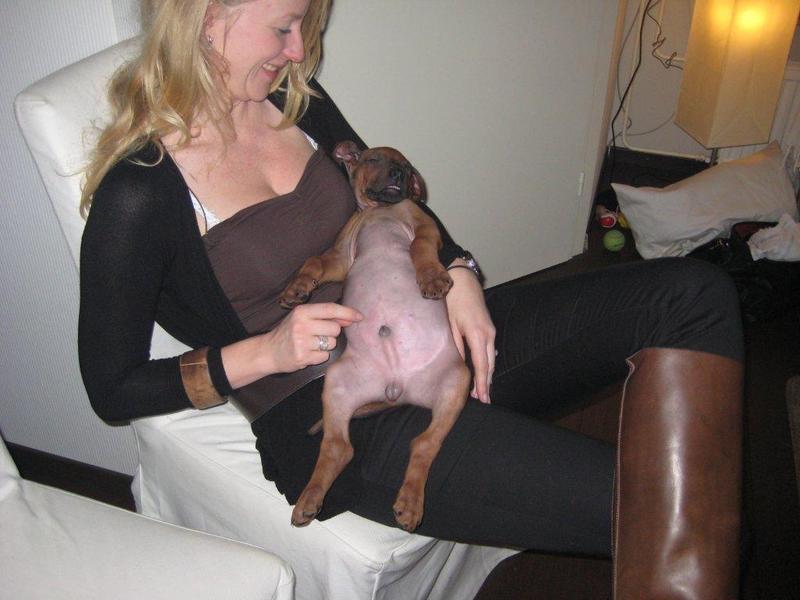 Is dit niet tè schattig!!