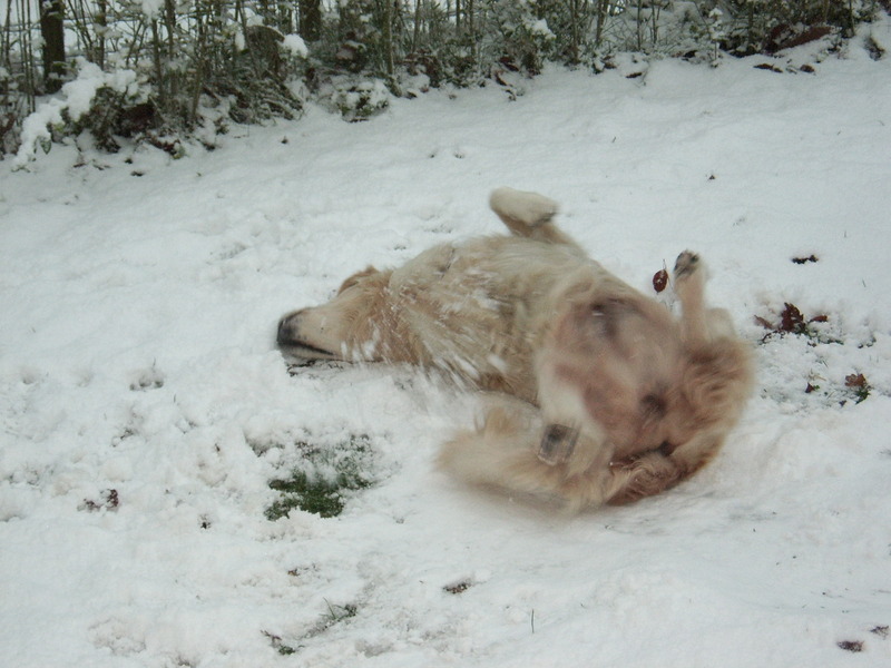 donja ligt lekker in de sneeuw