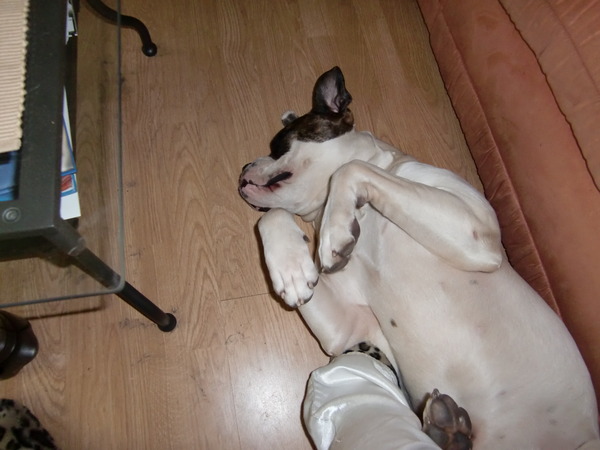 wat lig ik lekker zeg