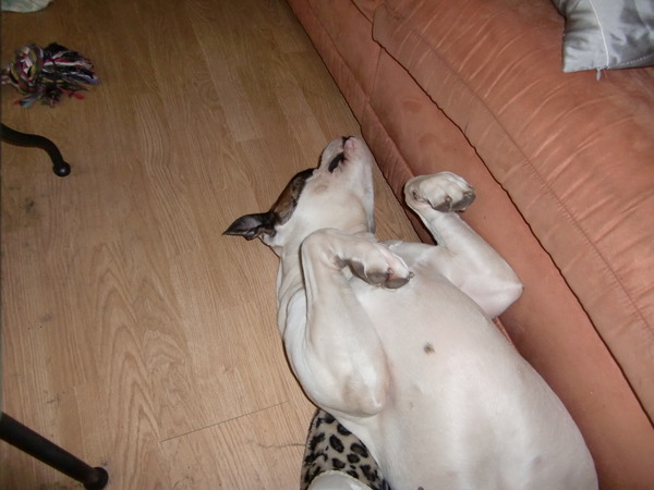 ik wil niet op de foto