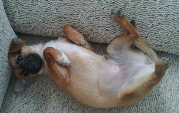 Waarom maak je me nu wakker?