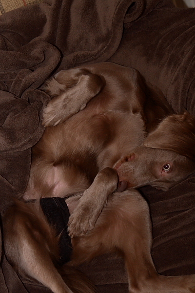 De PinUp van de maand