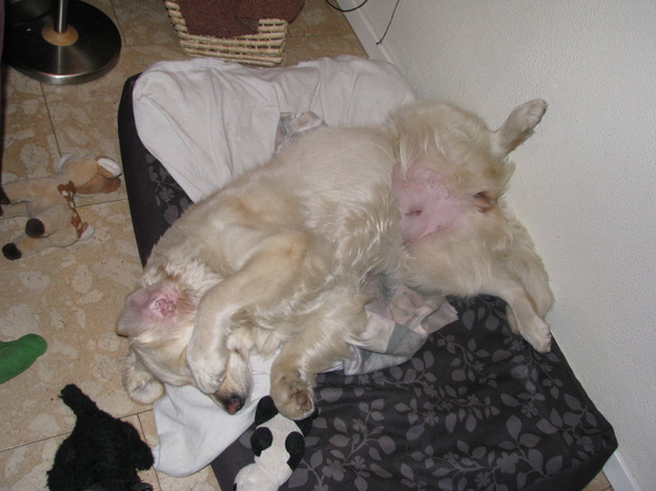 waarom altijd dat fototoestel 