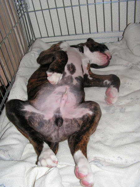 Etaleren doet verkopen