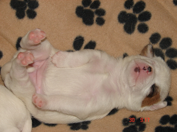 Nu nog niet, wacht maar tot ik groot ben!