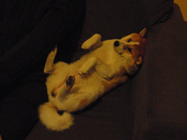 Onze Lena neemt een pauze