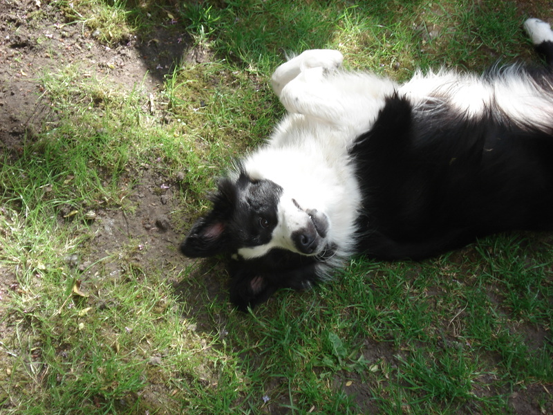 En toen lag ik daar...