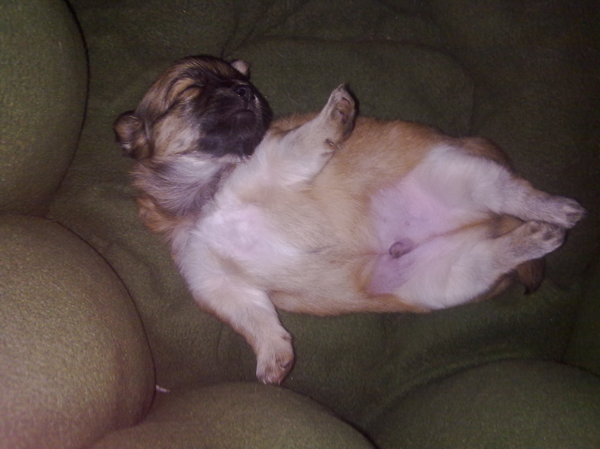 Kleine Boy lekker aan het chillen