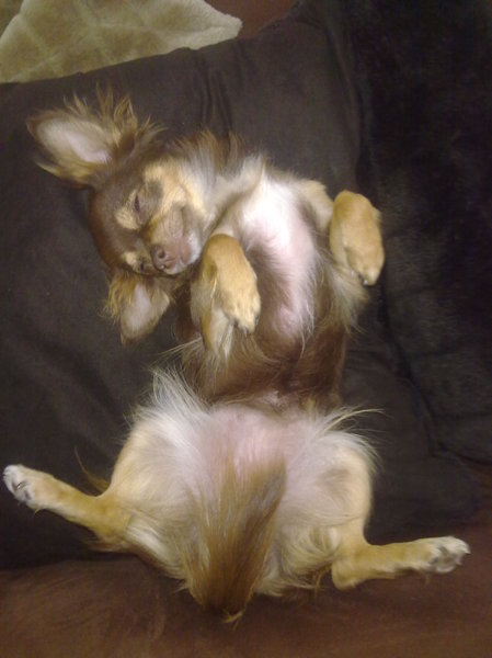 Luna aan het genieten