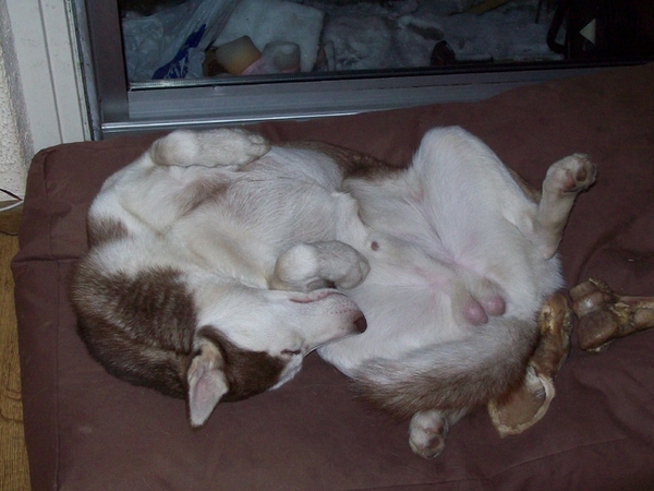 Aiko op zijn voordeligst