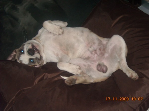 Ike zal zich eens goed leggen!