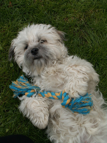 mijn lievelinsspeeltje