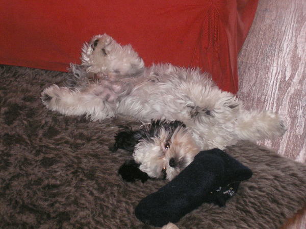 Angel op haar rug met scheve kop