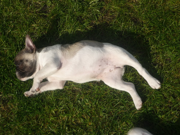 Zo klein en nu al genieten van de lentezon!