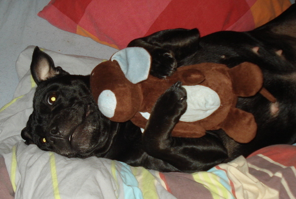 cadbury angels funnygirl