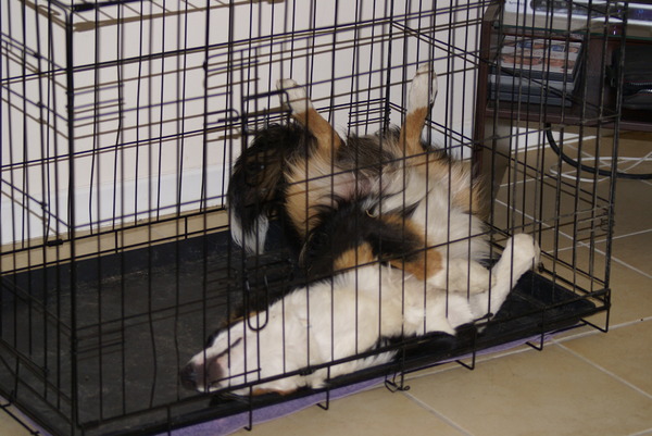 Eagan in zijn bench in zijn favo standje