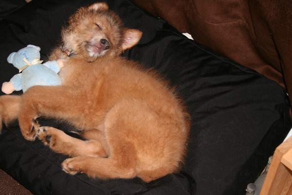 Laat me nog 5 minuutjes snoozen.... 