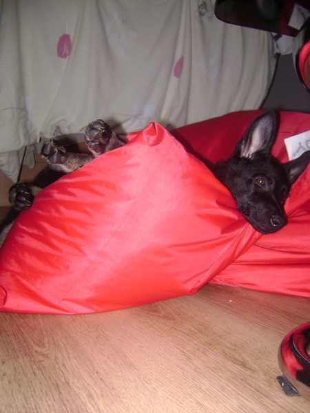 Liever lui dan moe.. 