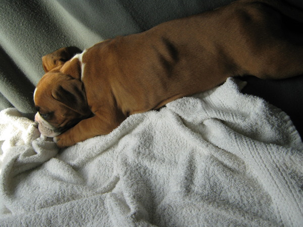 nou ja zeg lara, je bent toch niet moe?