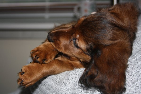 ik lig lekkerrrrrrrr