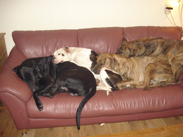 Plaats genoeg voor iedereen