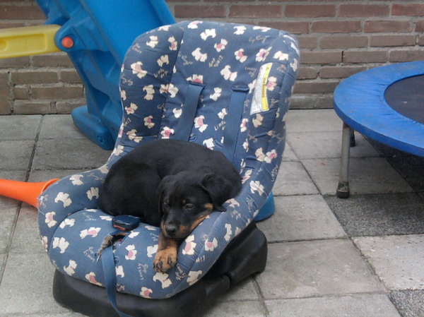 jyll in de kinderstoel