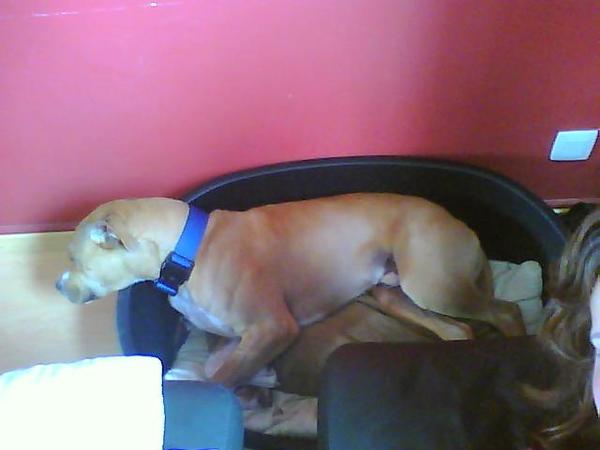 Torro na een dagje op stap