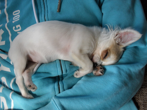 Fleur o ik ben zo moe