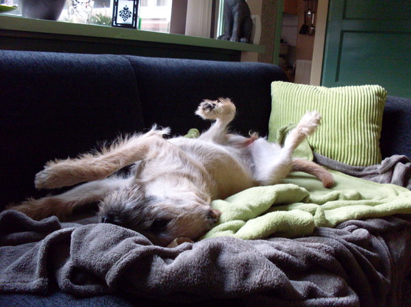 Zooooooooooooo lekker lui