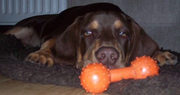 Ik kan niet meer...ben moe!