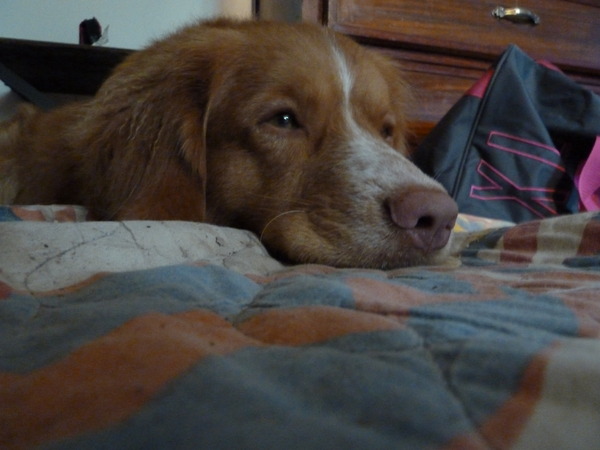 ik wil naar bedje toe