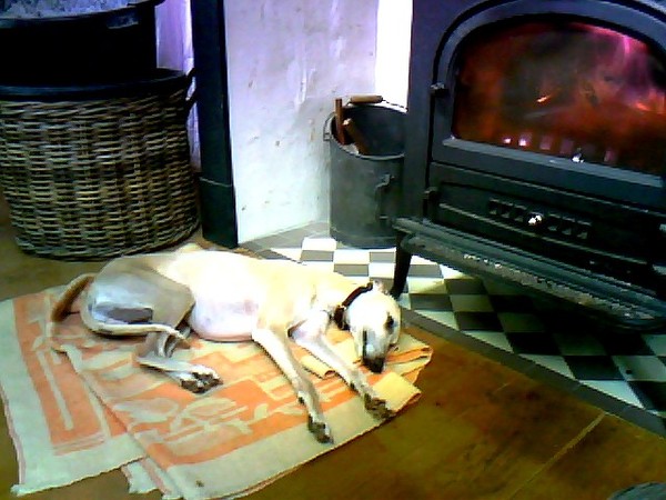 op z'n favoriete plekje.