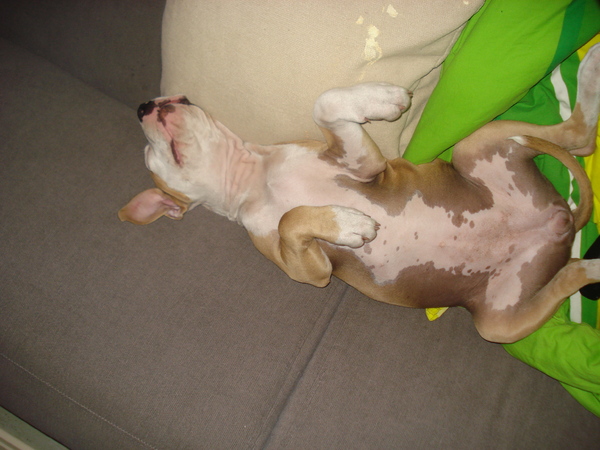 Zo lig ik het lekkerst