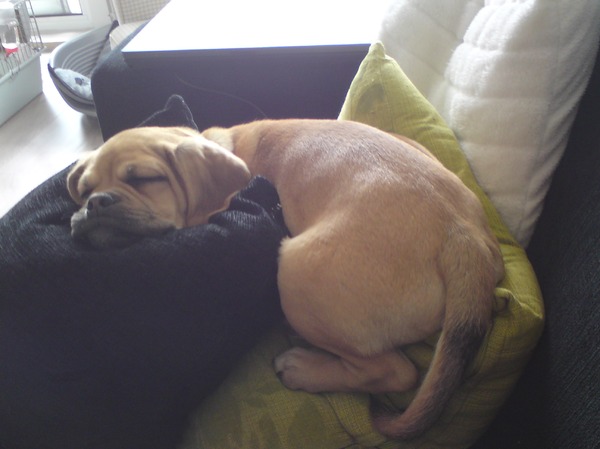 t lekkerste plekje van de bank