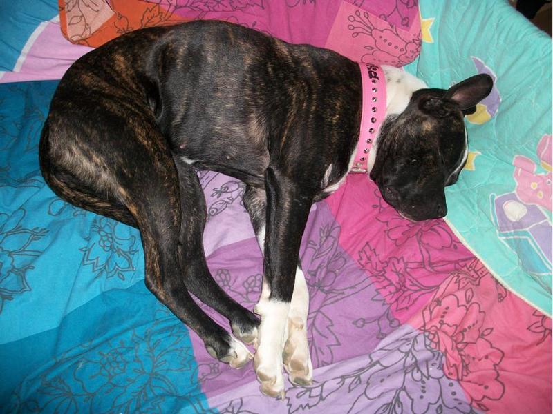 Ja,Ja.. Baasjes plek inpikken!