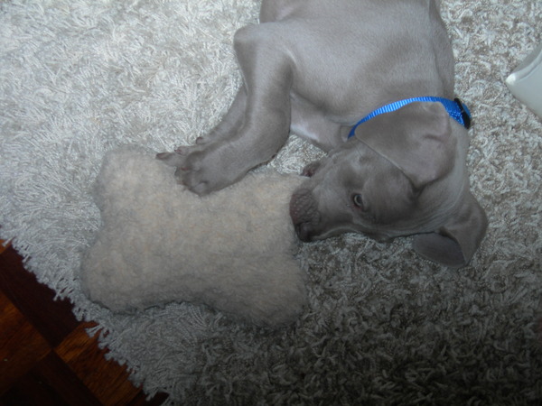 7 weken en helemaal moe.